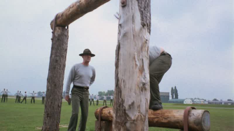 I'll bet if there was some pussy up there on top of that obstacle you could get up thereCouldn't you Sir yes sir