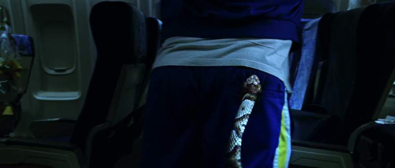 Get this fucking snake off my ass