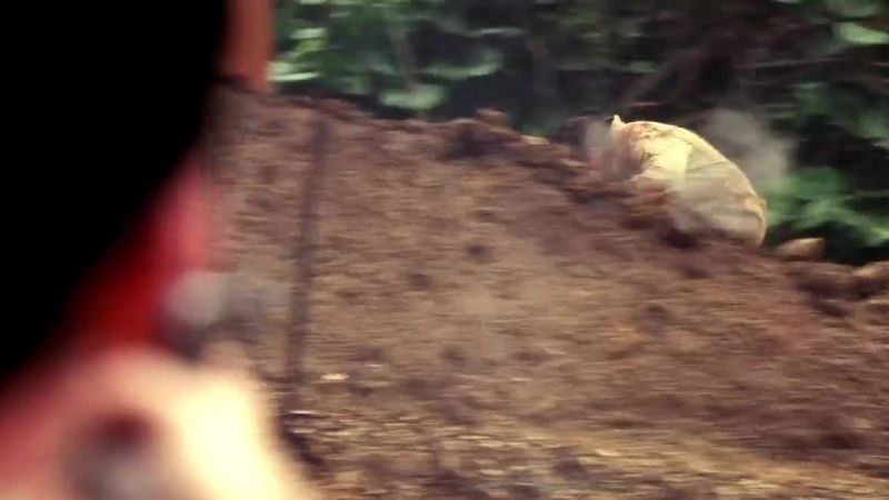 Get him!