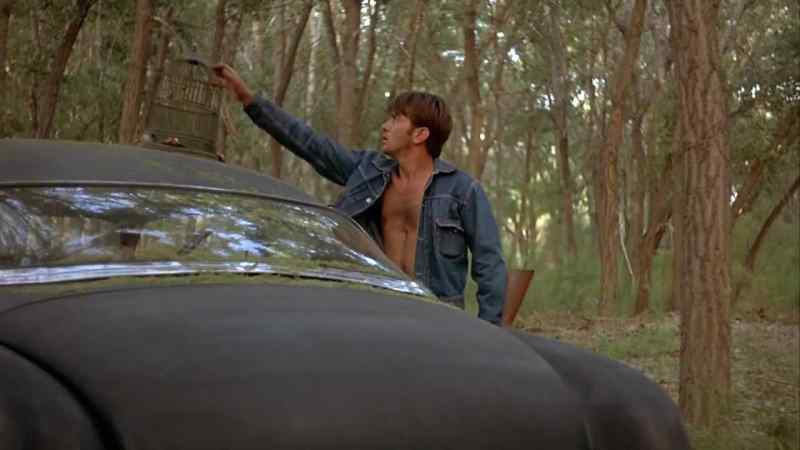 Get in the car, Red