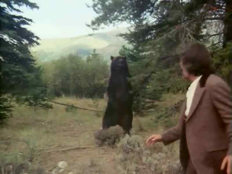 Get out of here!