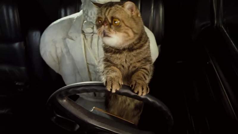Get out of the road