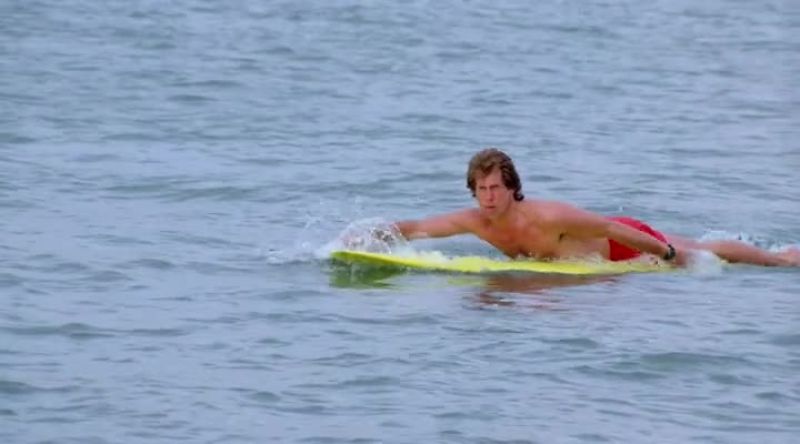 GET OUT OF THE WATER!