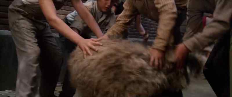 Get his tail!