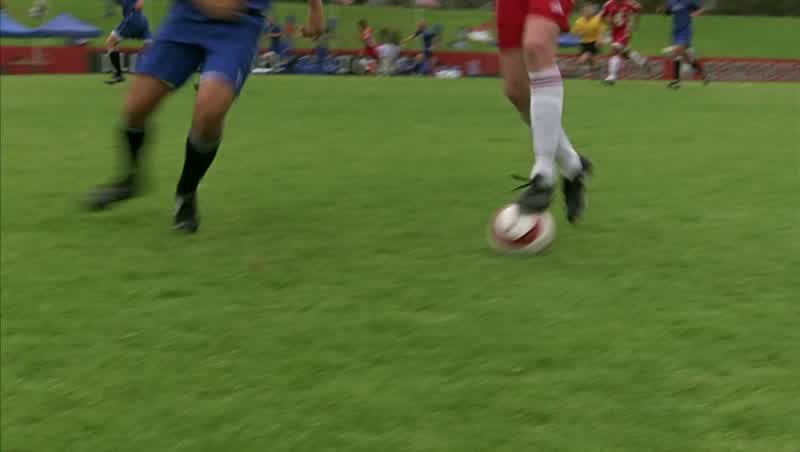 Get the ball!