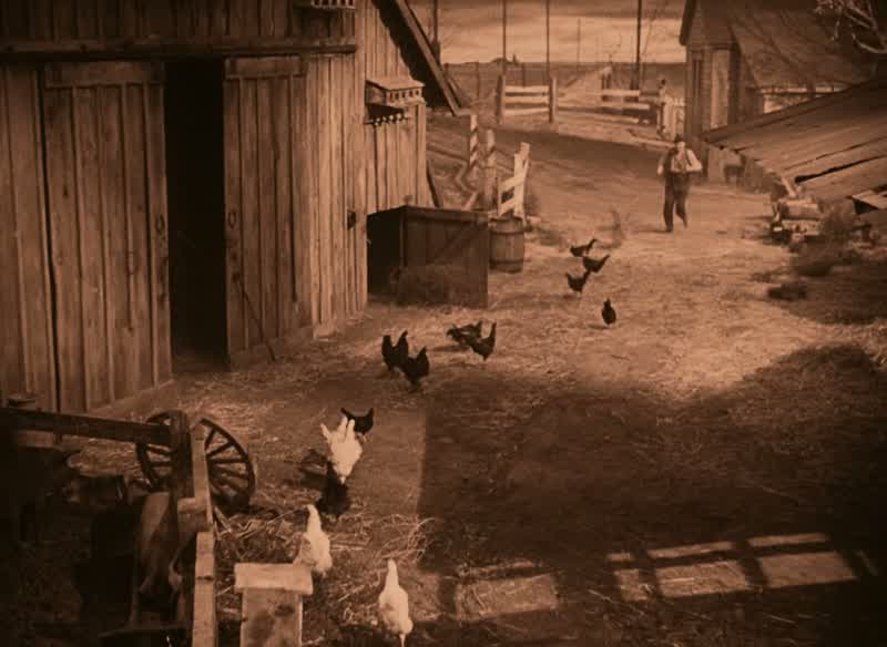 Get them horses loose!