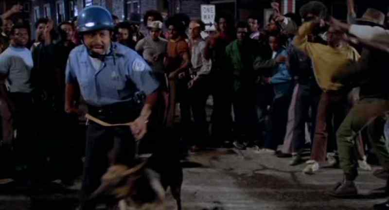 Get those dogs outta here!