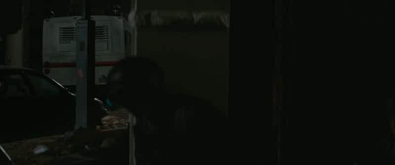 Get to the bus