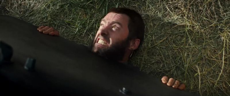 Get up, boy. Get up, boy!