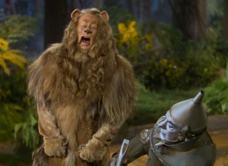 Come on get up and fight you shivering junkyardPut your hands up you lopsided bag of hayThat's getting personal LionYes get up and teach him a lessonWhat's wrong with you teaching himWell I hardly