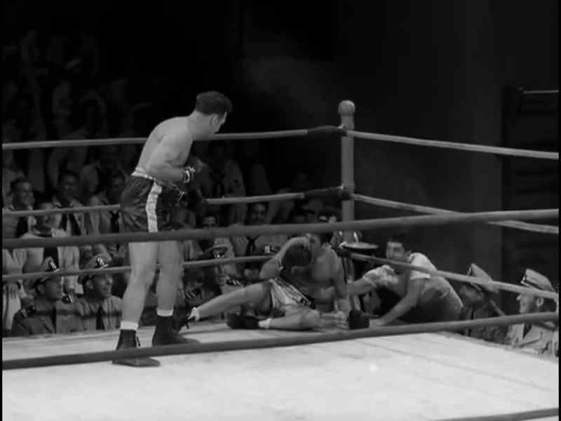 Get up here and fight!
