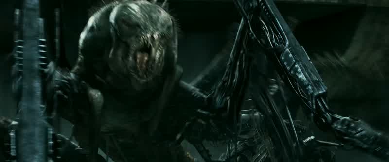 Get up, look out!