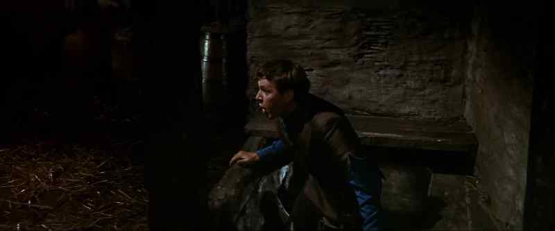 Get up, man, get on up there! - Quick, out through the window