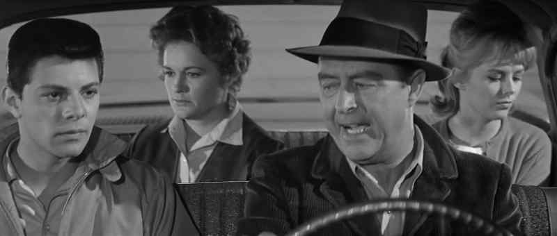Getting your son to hold a gun on a man. - Drop it, Ann!