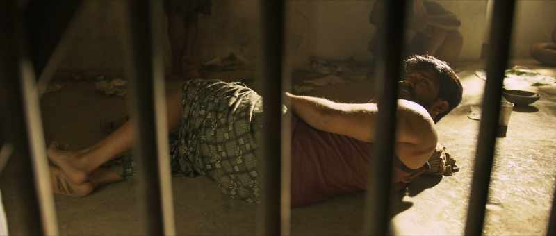 Getup idiot, your brother has got you bail