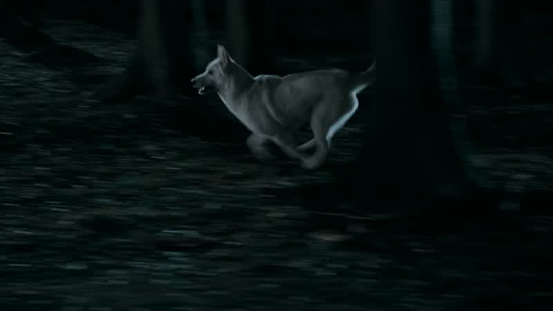 Ghost? Hyah! Hyah! Hyah!
