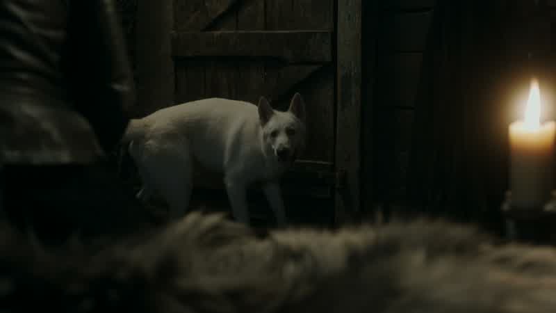 Ghost, what's wrong?