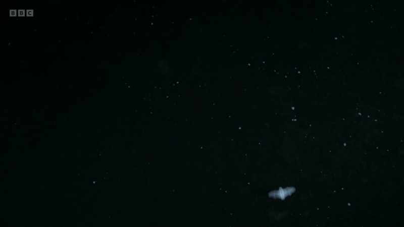 Ghostly shapes appear over a starlit river