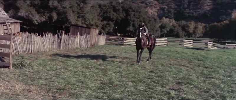 Giddyup, there!