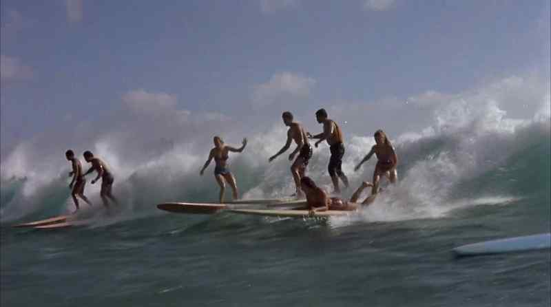 Gidget! No!