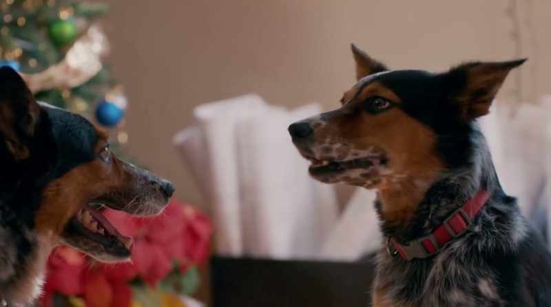 [Gidget] Vinnie P has a way of making problems disappear