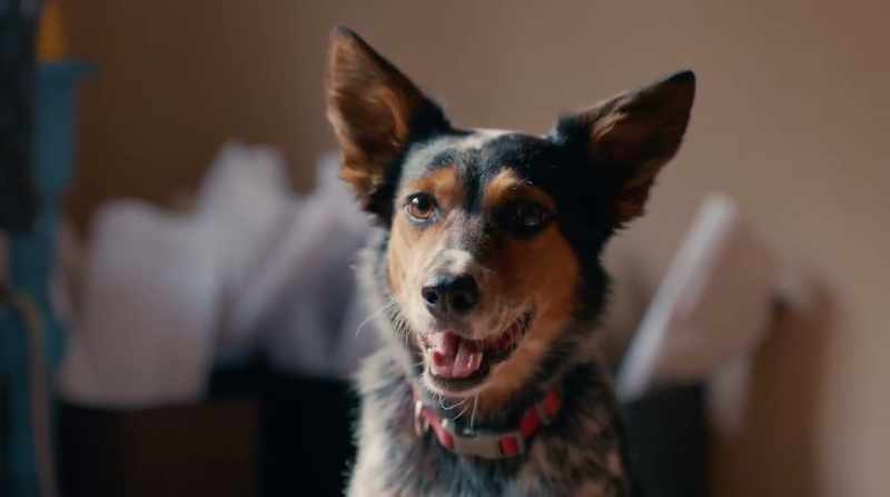 [Gidget] Vinnie P is not my boyfriend. We were just obeying orders