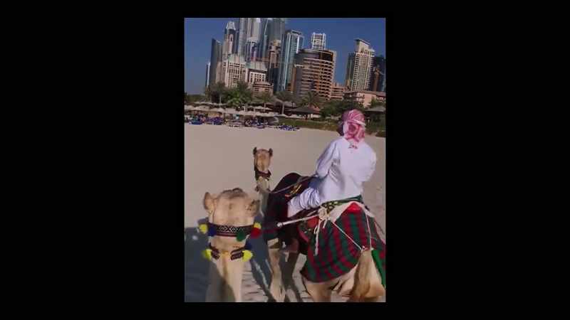 Gignac: I had to ride a camel. I'm in Dubai