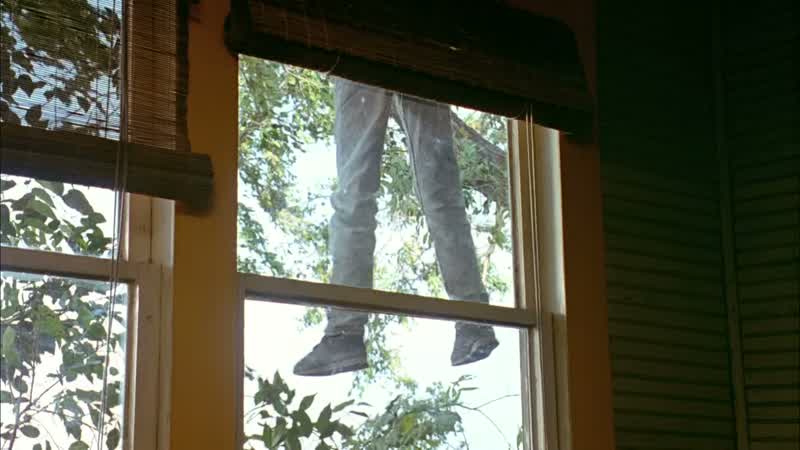 Gilbert, get him down from there