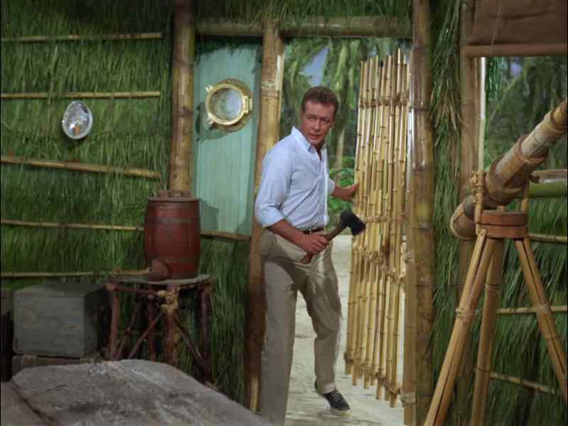 GILLIGAN, I BROUGHT YOU