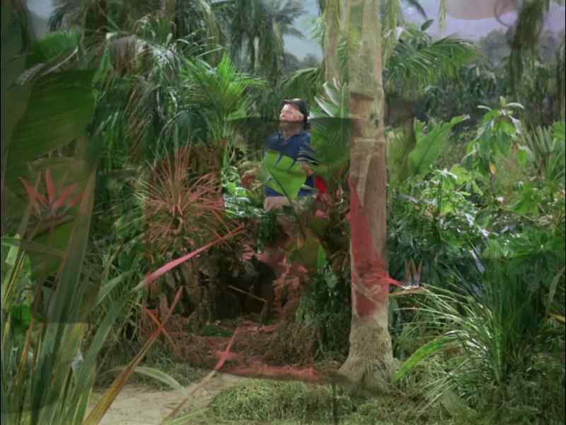 GILLIGAN, KEEP LOOKING. IT MUST'VE BEEN MONKEYS THAT STOLE THAT STUFF