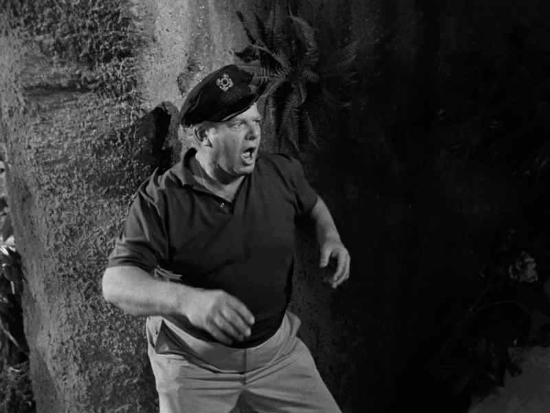 Gilligan? Mr. Howell? What are you arguing about?