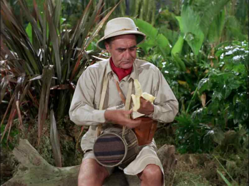 Gilligan: MR. HOWELL?