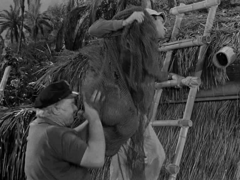 Gilligan, will you stop that. I'm on your side