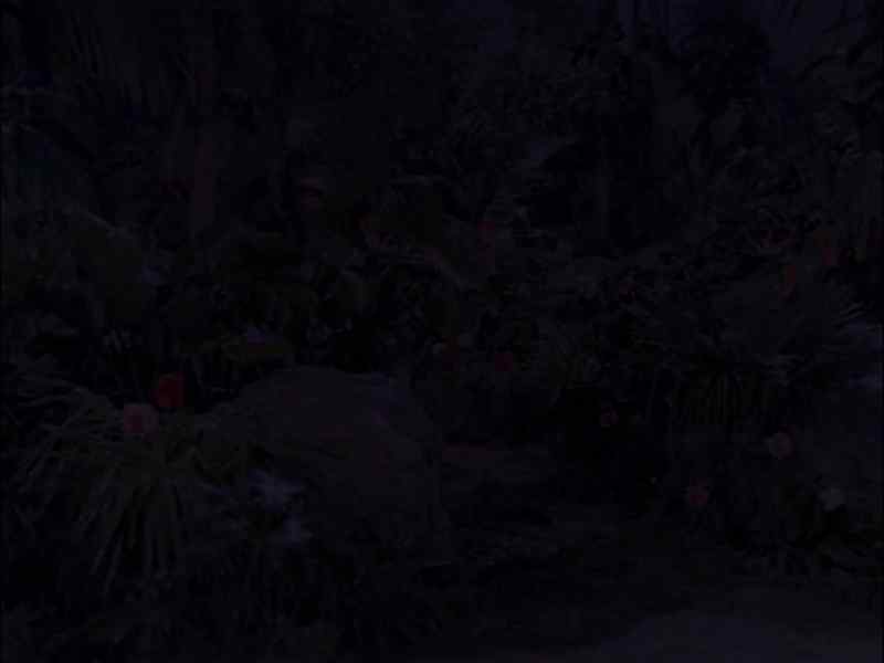 Ginger: GILLIGAN, HOT WATER