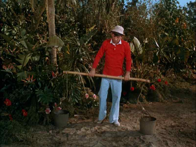 Ginger: GILLIGAN, WHERE'S THE HOT WATER?