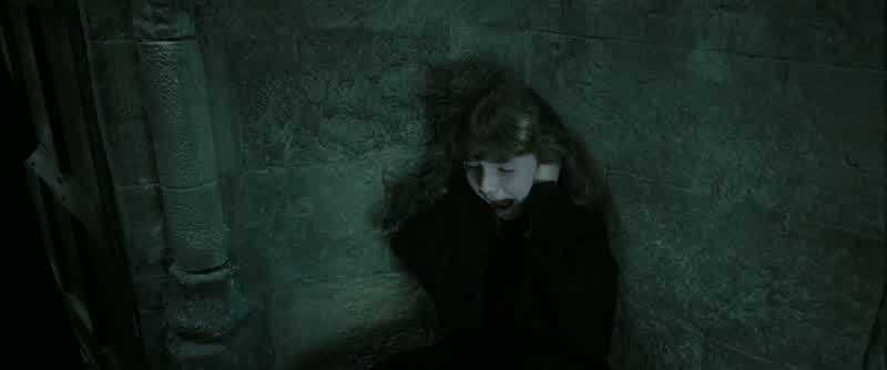 VOLDEMORT:I know that many of you will want to fight