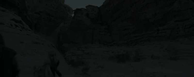 [girl] Even a little desert mouse can survive
