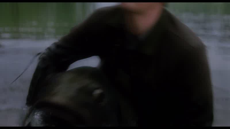 Give me back my ring!