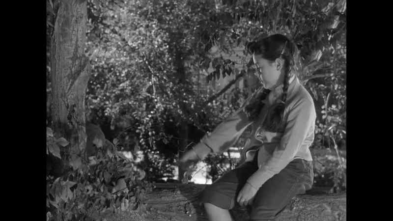 Give me your hand, Beaver, I'll help you