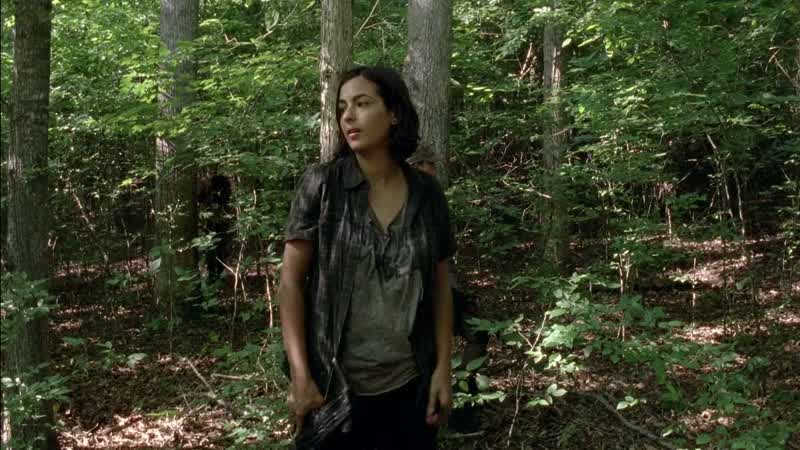 Glenn told me you saved his life