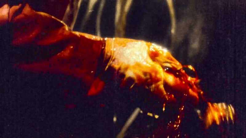 (Gloves rustling)