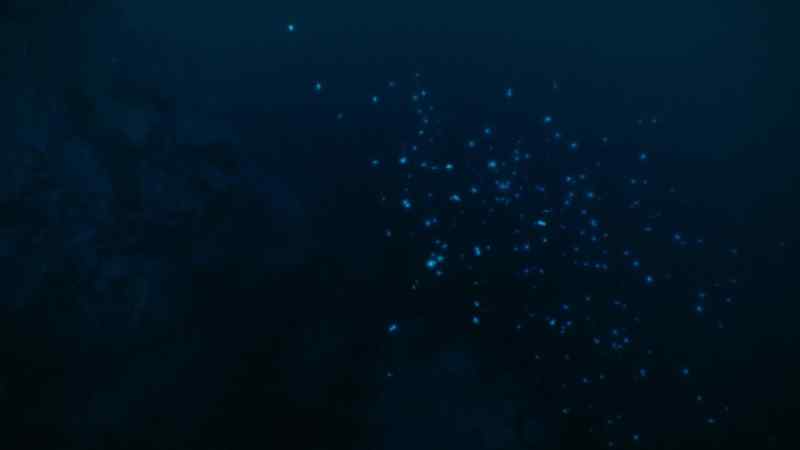 Glowing ammonites rise from the abyss