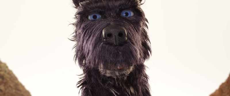 Go ahead, say it. I'm a stray, yeah