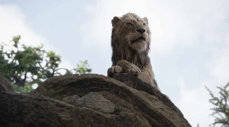 Go back to your den, Simba. I don't babysit