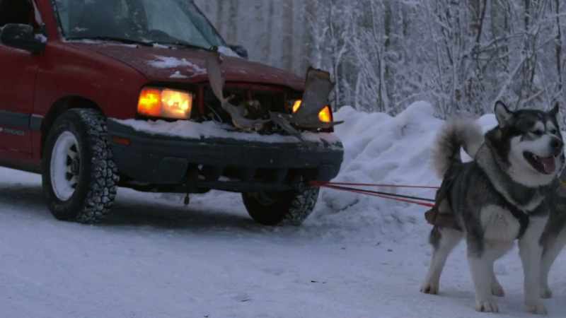Go! Go get 'em!