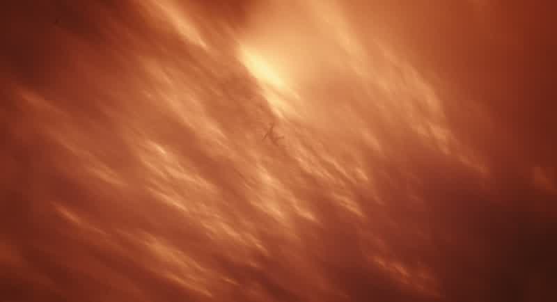 Go. Go, Mufasa. Find your forever. I got you. Oh, Sarabi, I got you