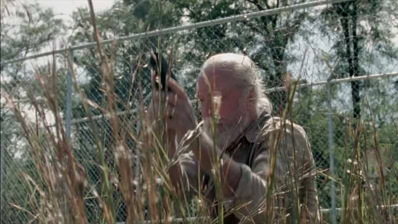 Go, Hershel
