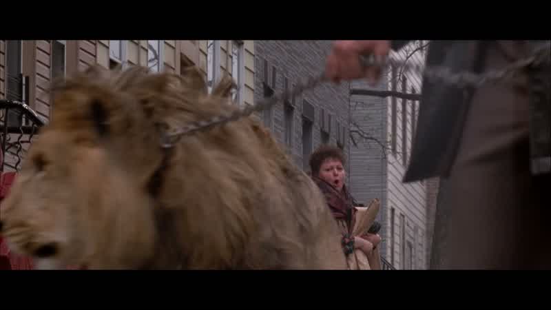Go home, you miserable bitch