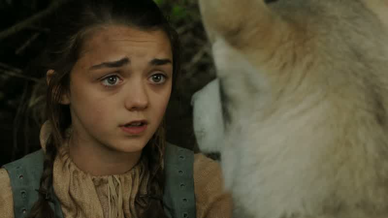 Go! Leave now! - It's a direwolf. - I'll check down here