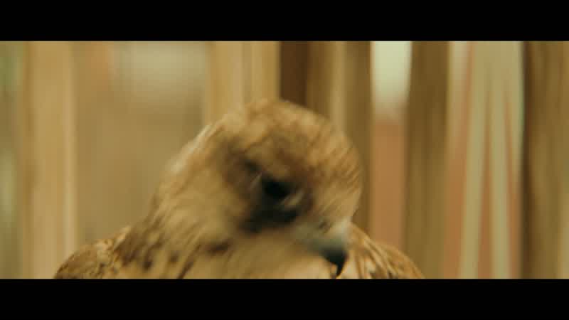 Go Mordecai